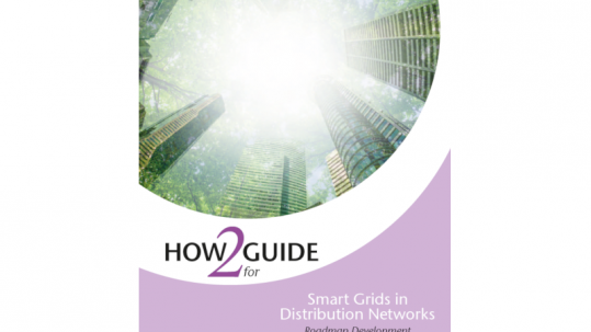 How2Guide for Smart Grids in Distribution Networks IEA